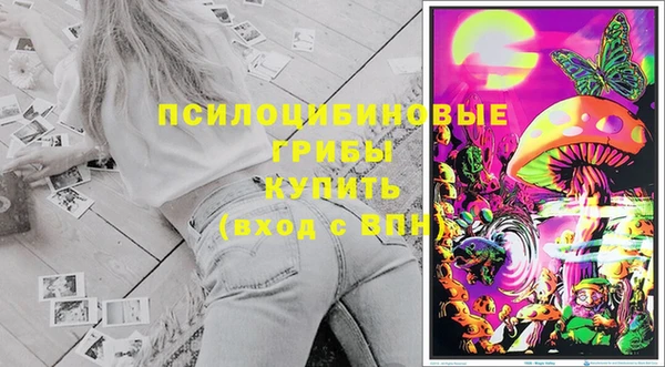 ешки Абаза