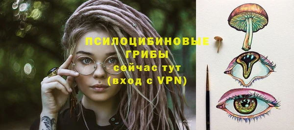 спиды Алексеевка